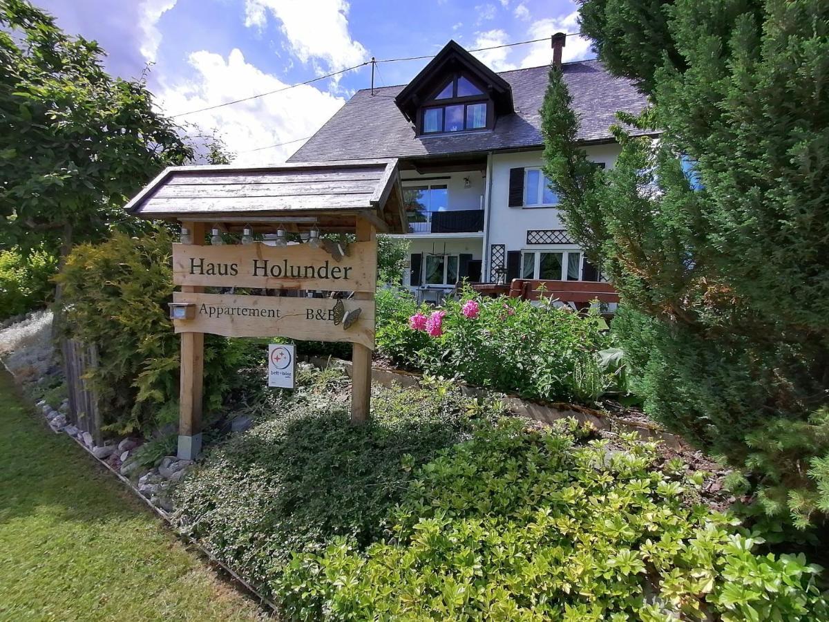 Haus Holunder Weissbriach Apartment Exterior photo